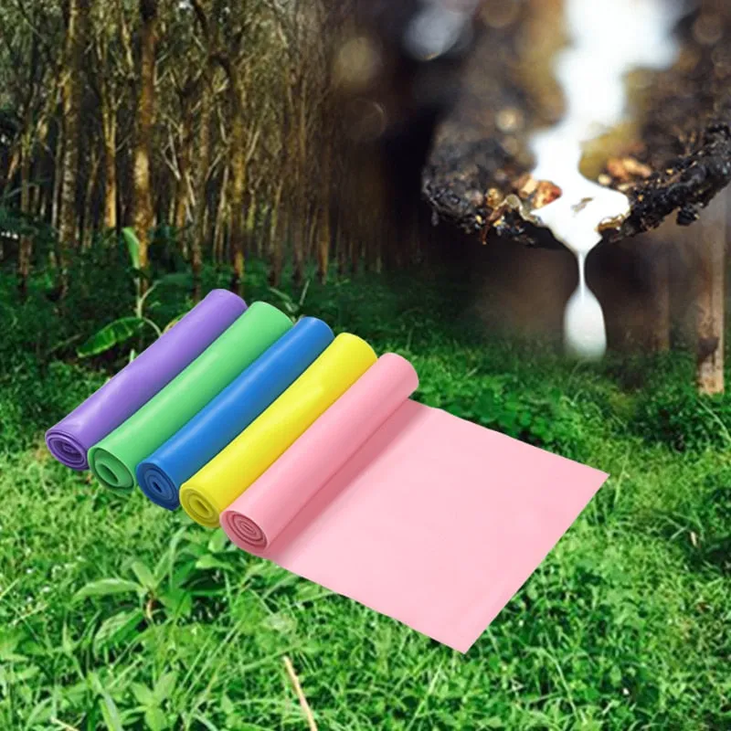 Elastic Resistance Bands: A Comprehensive Fitness Tool