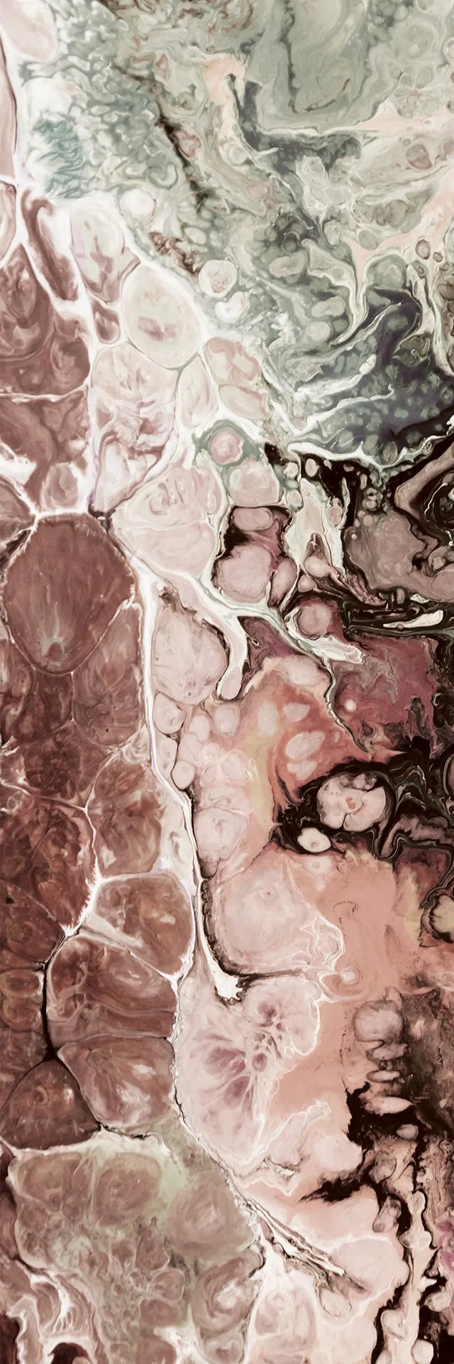 Sepia Elements